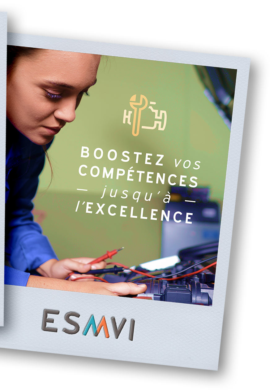 ESMVI